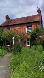 alessandra taffi fiori bach pisa 011